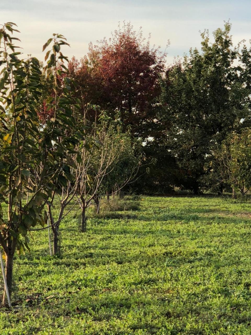 Cascina San Giorgio Villa Valenza Exterior photo